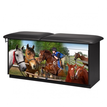 CLINTON Equestrian Treatment Table 7947